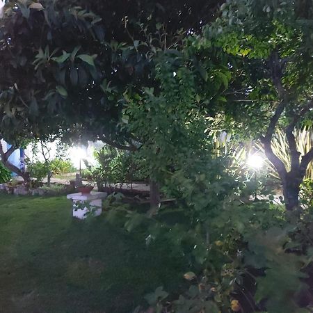Vila Casa Do Sobral Obidos Ngoại thất bức ảnh