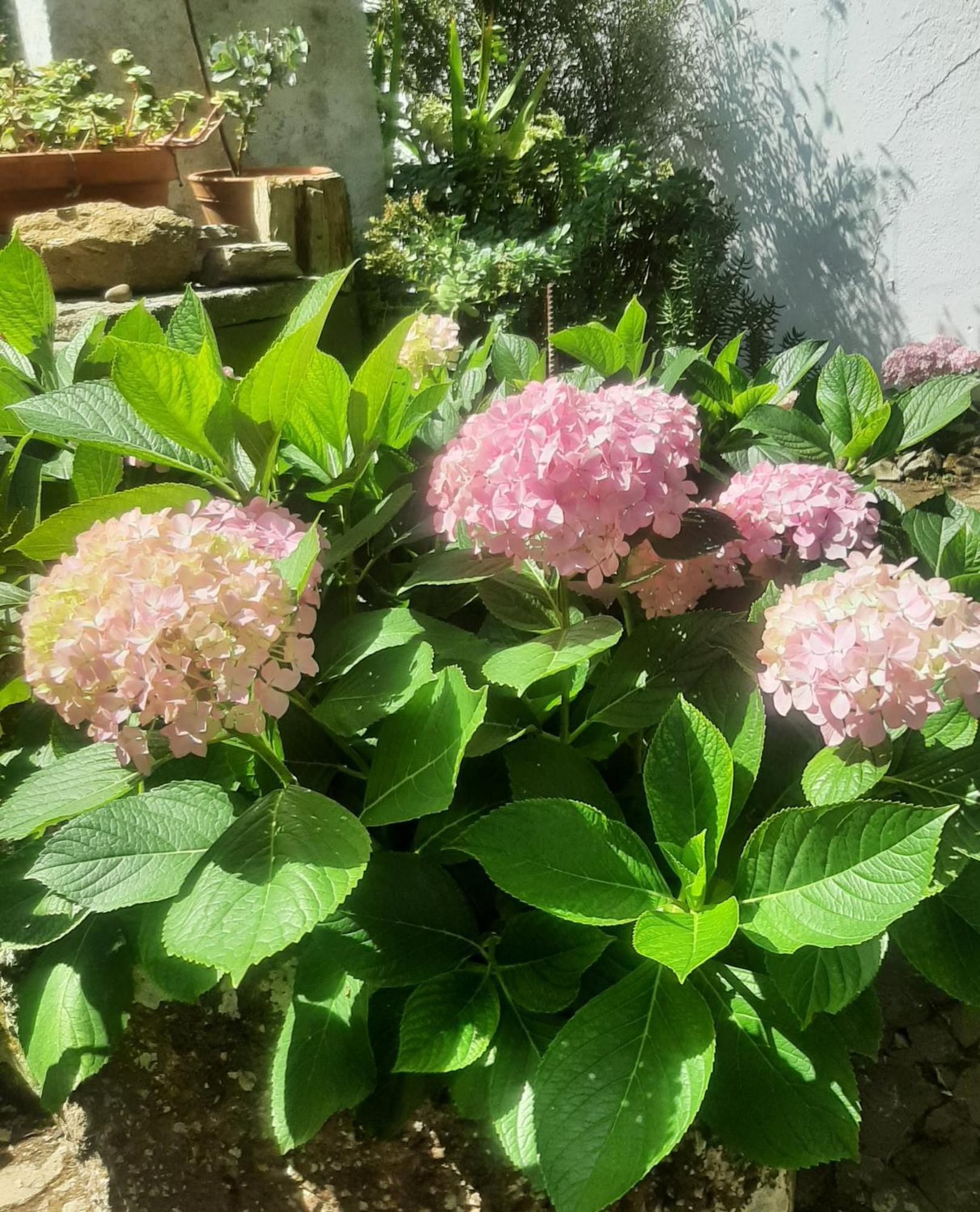 Vila Casa Do Sobral Obidos Ngoại thất bức ảnh