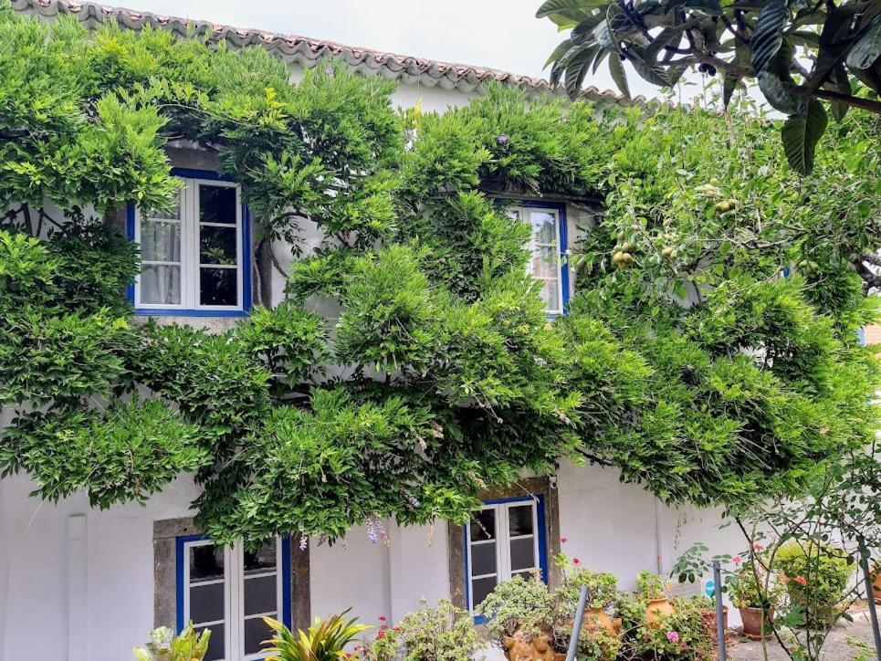 Vila Casa Do Sobral Obidos Ngoại thất bức ảnh