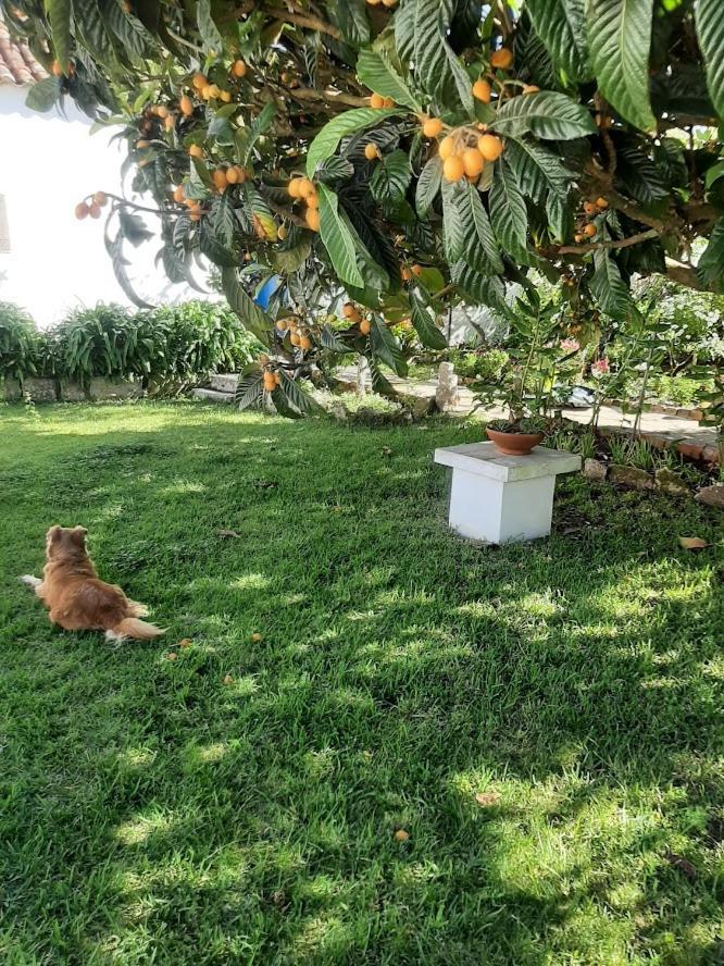 Vila Casa Do Sobral Obidos Ngoại thất bức ảnh