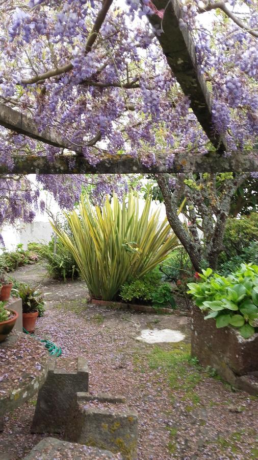 Vila Casa Do Sobral Obidos Ngoại thất bức ảnh