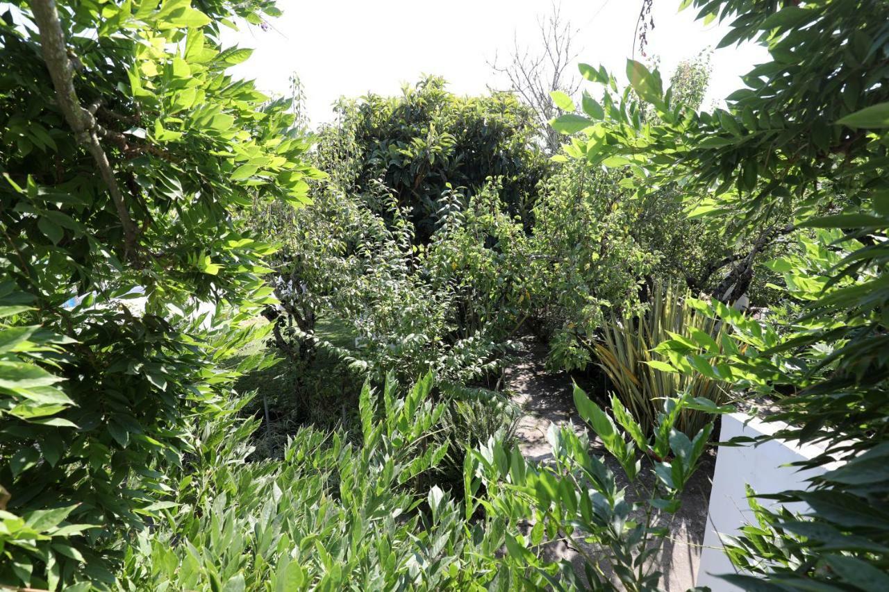 Vila Casa Do Sobral Obidos Ngoại thất bức ảnh